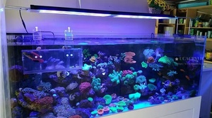 <span class=keywords><strong>40</strong></span>ガロン水槽 アクリル水槽 海水魚 大型 アルミ水槽 水槽スタンド 水槽 - Product Image 2