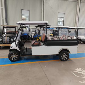 Carrito de Golf Eléctrico Todoterreno con Caja de Carga de Acero - Product Image 6