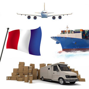 El agente de envío más barato, servicio de entrega puerta a puerta, transitario de carga aérea exprés, transporte marítimo a EE. UU. Canadá - Product Image 2