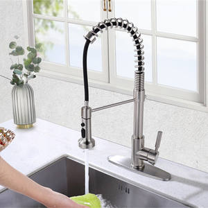 <span class=keywords><strong>Grifos</strong></span> <span class=keywords><strong>de</strong></span> fregadero <span class=keywords><strong>de</strong></span> cocina <span class=keywords><strong>de</strong></span> palanca única, contemporáneo, OEM, <span class=keywords><strong>grifos</strong></span> extraíbles, barra <span class=keywords><strong>de</strong></span> utilidad <span class=keywords><strong>de</strong></span> lavandería <span class=keywords><strong>de</strong></span> satén <span class=keywords><strong>de</strong></span> primavera - Product Image 4