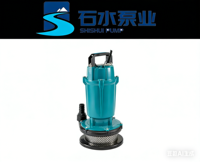 Pompe de vidange submersible QDX avec interrupteur à flotteur, pompe automatique pour eau claire, idéale pour le drainage des sous-sols, caves et piscines