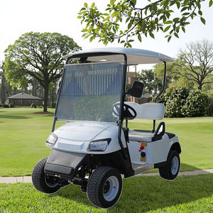 Voiturette de Golf Électrique Classique 2 Places Économique avec Batterie au Lithium/Plomb-Acide Personnalisable 48V/60V/72V - Product Image 1