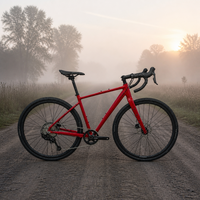 Cassette large gamme 11-46T pour vélo de gravier, pédalier 1x10 vitesses 42T, frein à disque mécanique, guidon drop bar, cadre en aluminium léger 700c