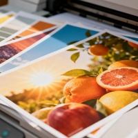 Fotocopiadora/Impresora Reacondicionada Konica Minolta Bizhub Press C1070 C1060 C1060L A3/A4 60 ppm a Color, Área de Impresión Máxima A3+, Alta Velocidad
