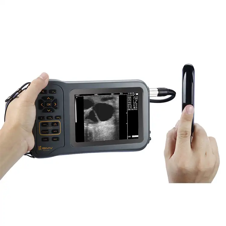 Youpin BMV ferrmscan L60 scanner portable à ultrasons, animaux de ferme, bétail, mouton, cochon, instruments médicaux, déguisement