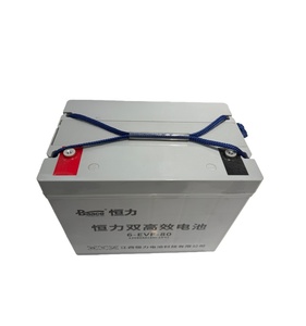 12V80AH 모티브 배터리 EVF 배터리 - Product Image 4