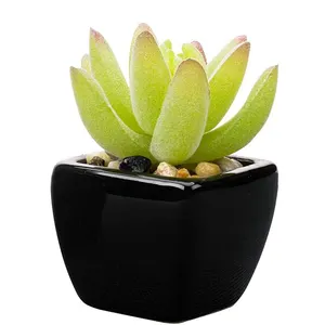 도매 가짜 인공 미니 작은 즙이 많은 식물 녹색 분재 화분 공식 방 장식