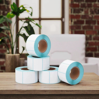 Flexografía de 4x6 pulgadas, rollo de etiquetas de envío directo en blanco, código de barras, impresora A6, papel adhesivo térmico, pegatina de hoja de transporte de 100x150mm
