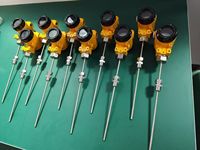 TLW100 Digital Temperature Sensor with LCD Display 4-20mA Temperature Transmitter USB Communication IP68 OEM/ODM Customizable