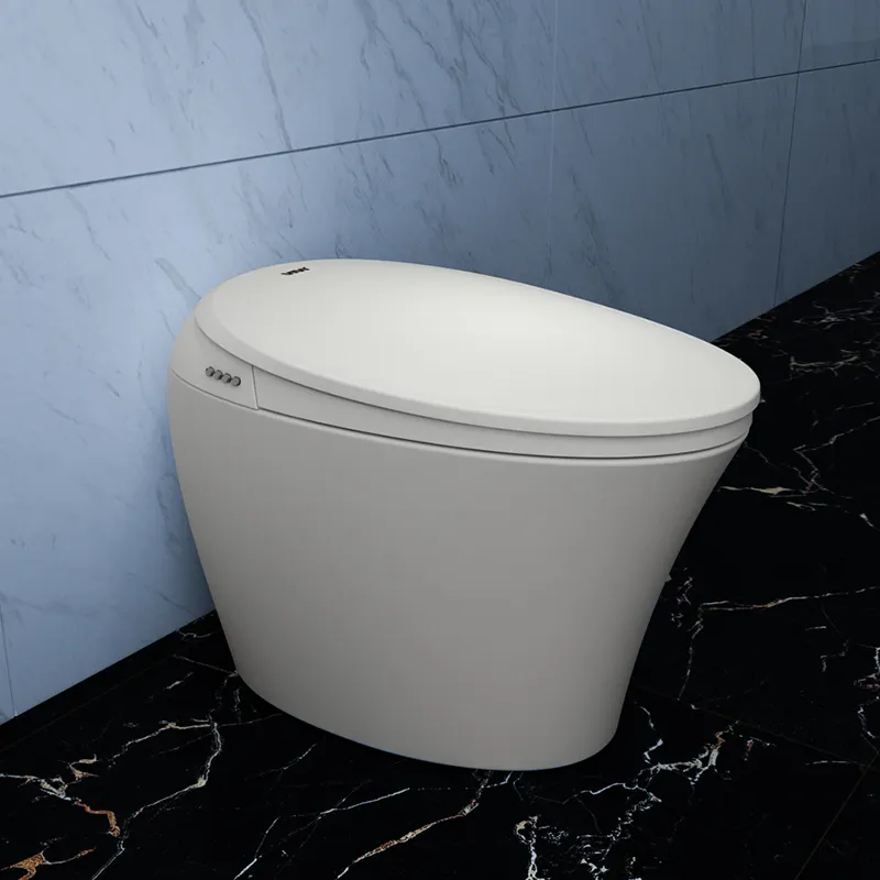 ViVi Châu Âu thiết kế khách sạn sang trọng thông minh nhà vệ sinh nước Closet Bidet tự làm sạch thông minh thông minh WC nhà vệ sinh