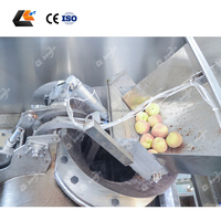 1-20T/H Hoge Productiviteit Stoomschilmachine voor Knoflook, Fruit & Groenten (Perzik, Appel, Banaan)