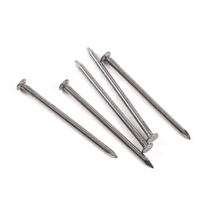 Hebei Factory Wire Carbon Best Price Iron Shank Common Nails Q195 Material Iron Nail 2inch 2.5inch 3inch 4inch 5inch Polish Nail