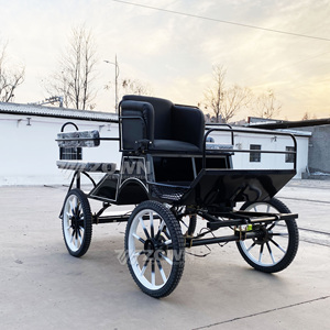 Carruaje de Caballos para Turismo Europeo, Club Ecuestre, Caballo Negro para Entrenamiento de Maratón - Product Image 1