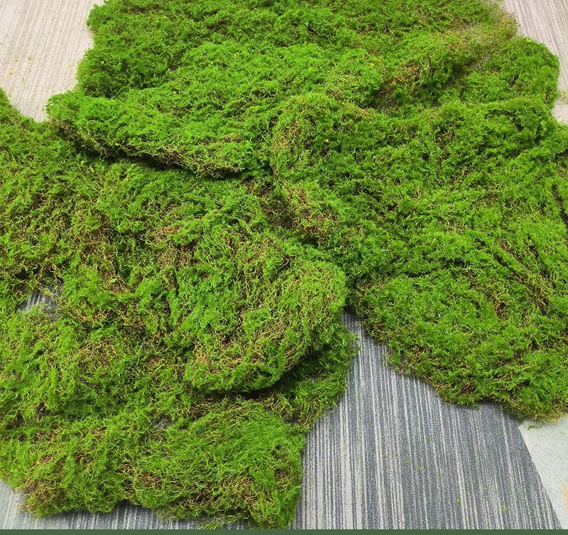 Vert