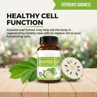 Complément alimentaire en capsules d'extrait de feuille de Graviola, marque privée OEM, pour fournir de l'énergie, améliorer l'immunité, adultes, 60 capsules/flacon