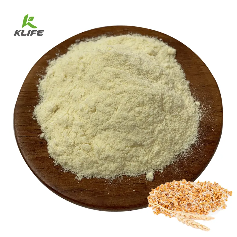 Wholesale Price Spermidine Wheat Germ Extract 98% 99% Spermidine Powder