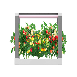 Boîte de jardin intérieur intelligente contrôlée par APP système hydroponique maison cuisine herbe LED culture sans sol pompe d'<span class=keywords><strong>arrosage</strong></span> <span class=keywords><strong>automatique</strong></span> - Product Image 6
