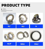 Roulement à rouleaux cylindriques à double rangée ultra-précis en plastique NN3006 NN3007 NN3008 NN3014 NN3017 NN3018 NN3020-D-K