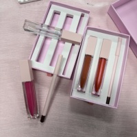Kit de maquillage pour les lèvres 3-en-1 avec gloss et crayon à lèvres, emballage rose, marque privée, OEM, pour femmes, logo personnalisé, vente en gros