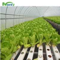 Canaux NFT en PVC de haute qualité pour la culture de légumes en serres agricoles, équipement de système hydroponique