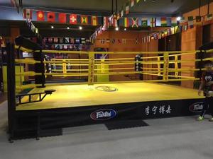 Anillo de boxeo elevado aprobado por AIBA para MMA/<span class=keywords><strong>Muay</strong></span> <span class=keywords><strong>Thai</strong></span>, equipo deportivo de lucha de competición a la venta - Product Image 3