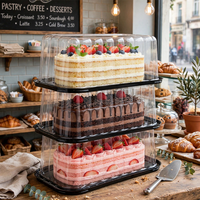 Groothandel Wegwerp Transparante PET Plastic Taartdoos - Rechthoekige Dessert Mousse Taart Kaas Gebak Verpakking
