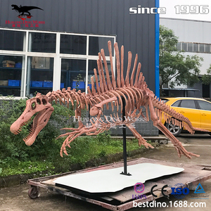 Precio de Fábrica: <span class=keywords><strong>Esqueleto</strong></span> de Dinosaurio Espinosaurio de Silicona Realista para Parques Temáticos - Product Image 6