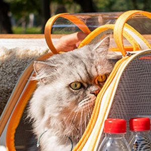 Cat Carrier <b>Backpack</b> Travel Pets' <b>Backpacks</b> Carrying Bag Dog Carrier <b>Backpack</b> for Small Dogs <b>Large</b> Space Cat Carrier <b>Backpack</b> - Product Image 4