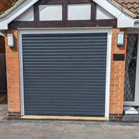 Porte de garage en acier ignifugée moderne en gros avec moustiquaire en fibre de verre, sécurité antivol, automatique, double couche, thermique et étanche