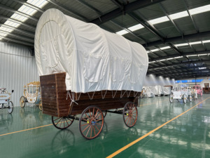 Voiture électrique classique en bois, chariot de tourisme à énergie nouvelle, moteur 3/5 KW - Product Image 3