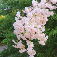 Guirnalda de Flores Artificiales de Cerezo de Alta Calidad, Decoración Colgante para Bodas, Banquetes y Techos