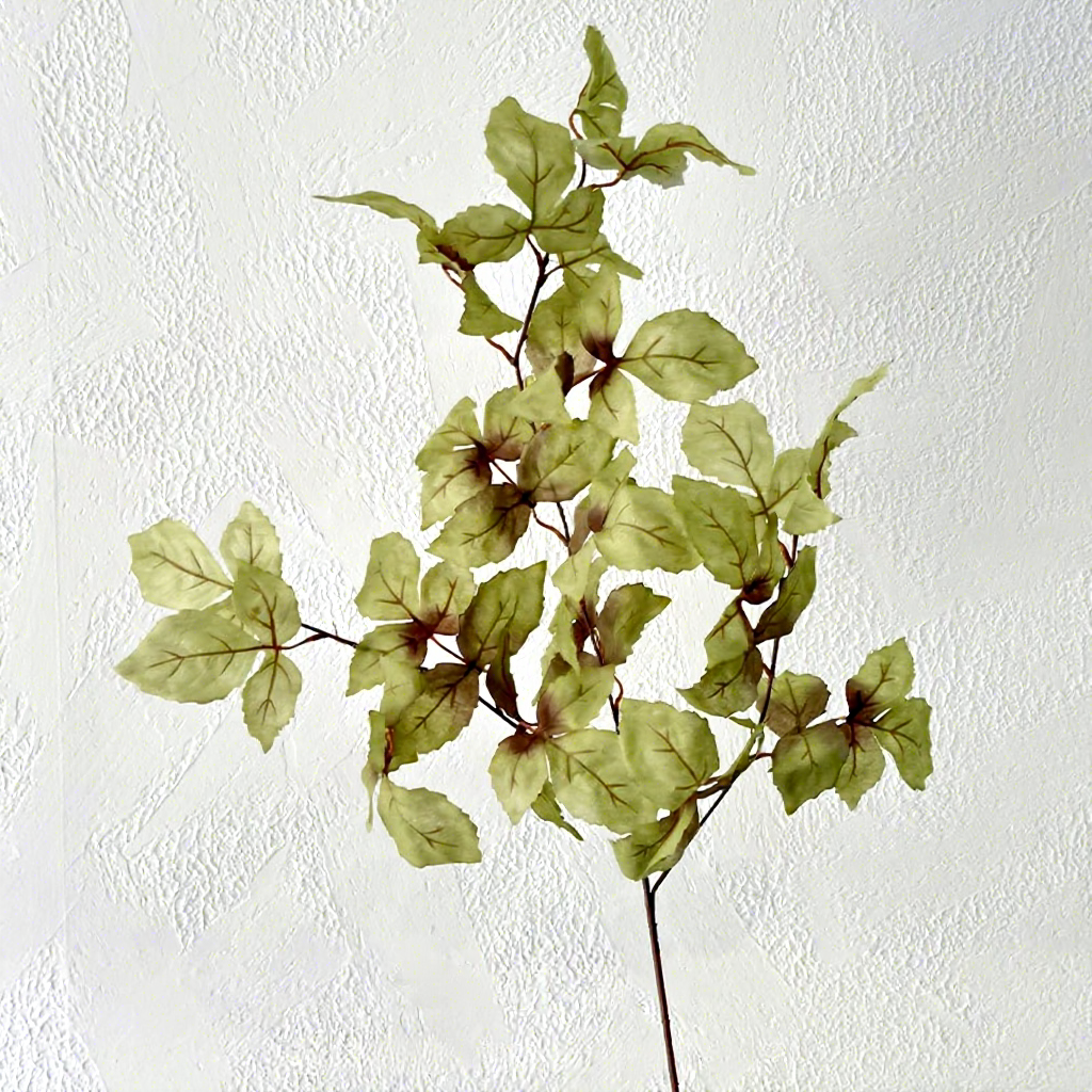 [14] Feuilles d'oiseau vert