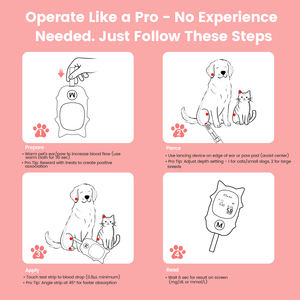 Kit de prévention du diabète canin indispensable pour les vétérinaires, faible MOQ, best-seller, moniteur de glycémie réutilisable, sûr, fiable, facile à utiliser - Product Image 6