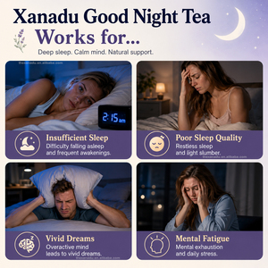10g de thé Good Night |   <span class=keywords><strong>Tisane</strong></span> de Sommeil aux 12 Herbes : Jujubes, Dattes, Poria Cocos, Lys, Rose, Mûres, Gojis, Orge et Dattes Rouges - Product Image 3