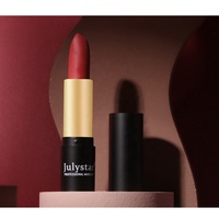 Vente en gros de rouge à lèvres imperméable, anti-adhésif, longue tenue, maquillage de Noël, rouge à lèvres mat