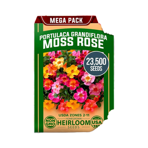 Paquete a granel de rosa musgo 23.500 cultivada en casa Portulaca Grandiflora sin OGM Cubierta de suelo de flores anual de bajo mantenimiento para exteriores - Product Image 1