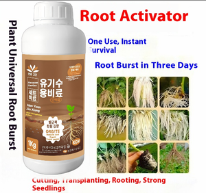 Drei Tage neue Wurzeln entstanden Universal Strong Rooting Liquid Humin Acid Organic Dünger für die Transplantation von Obstbäumen - Product Image 3