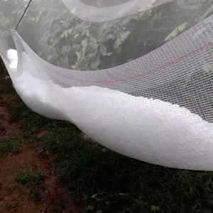 투명한 100% 새로운 HDPE 반대로 우박 그물 과수원 우박 보호 그물세공 포도 덮개 메시 우박 감시 그물