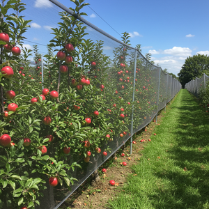 Anti hujan es jaring pertanian HDPE pohon Apple taman hujan es bukti Netting Polyethylene Harga Murah <span class=keywords><strong>Hail</strong></span> penjaga jaring - Product Image 3