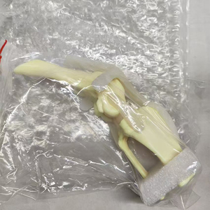 Educational <strong>3D</strong> plastic Life Size Hot Sales Pvc canine Artificial Knee Joint Model Medical Science - Product Image 5