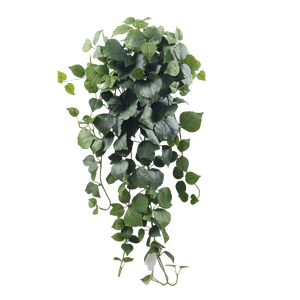 Plantas colgantes artificiales Pequeñas plantas artificiales en maceta flores decorativas coronas y plantas - Product Image 4