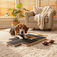Planche à gratter les ongles en bois pour chien avec tiroir à friandises, lime à ongles pour animaux de compagnie avec papier abrasif remplaçable, tapis à gratter pour le soin des ongles des chiens et des chats