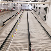 Nouvel équipement d'alimentation automatique pour volailles de ferme (poulets/poulets de chair) facile à utiliser, garantie 1 an