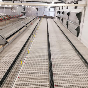 Máquina alimentadora <span class=keywords><strong>de</strong></span> cadena <span class=keywords><strong>de</strong></span> Casa <span class=keywords><strong>de</strong></span> pollo <span class=keywords><strong>de</strong></span> <span class=keywords><strong>precio</strong></span> barato <span class=keywords><strong>de</strong></span> fábrica <span class=keywords><strong>de</strong></span> Venta caliente/equipo <span class=keywords><strong>caja</strong></span> nido <span class=keywords><strong>de</strong></span> puesta <span class=keywords><strong>de</strong></span> huevos para granja avícola - Product Image 2