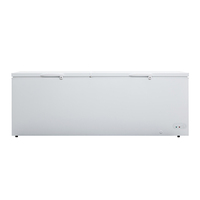 Congélateur coffre horizontal professionnel avancé à refroidissement rapide pour aliments surgelés à basse température, 2 portes, pour boucheries