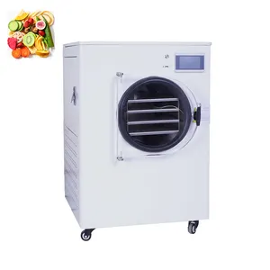 O pulverizador secador congela a baixa fruta-congelação-secagem-máquina liofilizada máquina do pó do fruto