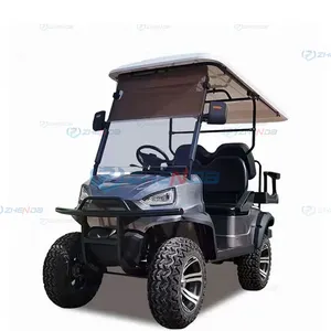 Free Color Logo Custom professional meter fast electric car club carts golf buggy electric mobility scooter