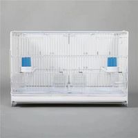 Vente en gros : Cage de vol classique moderne en fer respirant avec séparateur - Volière d'élevage pour perruches, agapornis et canaris