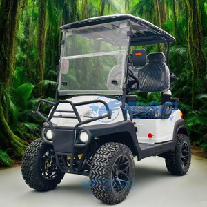 Carrito de Golf Eléctrico de 2 Plazas Fabricado en China para Uso en Resorts y Campos de Golf - Product Image 3