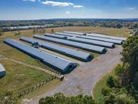 Ferme de volaille préfabriquée bon marché pour 10000 poulets